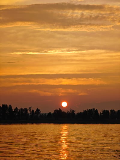 The image depicts a sunset over a body of water, likely a river or lake, with a silhouetted treeline in the background. The sun, a bright orange orb, is partially obscured by clouds and is casting a golden glow on the water's surface. The sky is filled with horizontal bands of orange and yellow clouds. The treeline consists of numerous coniferous trees, creating a dark, jagged silhouette against the vibrant sky. There are no people or animals visible in the scene. The overall impression is one of natural beauty and tranquility. The location, Nakhval'skoe, Russia, suggests a likely setting in a temperate or boreal region, consistent with the presence of coniferous forests.
