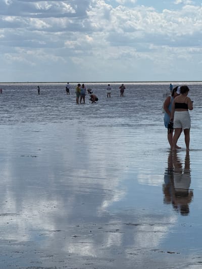 In a shallow, reflective body of water, several people are wading and interacting. In the foreground, two women are standing close together, one with a white baseball cap and black tank top, the other in a blue dress, both with their backs to the camera. Their reflections are visible in the water. Further back, a group of people are scattered across the water. One man in a white shirt and dark pants stands near the center. To his left, a group of three people in casual clothing are wading, one of whom appears to be crouching. More individuals are visible in the distance, including a person in pink and another in blue. The water is calm and mirrors the cloudy sky above, which is filled with large, white cumulus clouds. The horizon line is clearly defined, separating the water from the sky. The environment appears to be a natural body of water, possibly a salt lake or lagoon, with a flat, sandy or muddy bottom visible in places. The location is identified as Bursol, Russia.