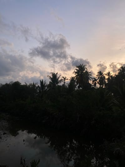 The image shows a low-angle view in Keudeublang, Indonesia, capturing a sky with scattered clouds and a line of silhouetted palm trees and other foliage against the fading daylight. The lower portion of the image reflects the scene in the water, appearing murky and dark. Several small birds are visible in the sky. The dominant color scheme is a mix of gray, white, and dark green.