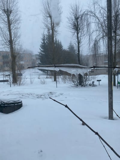 The image depicts a winter outdoor scene in Карабоўскі сельскі Савет, Belarus, characterized by heavy snow cover and overcast conditions. In the foreground, a prominent bare tree branch, likely seen through a window, extends horizontally across the middle of the frame, bearing a thick accumulation of clear ice with drip-like formations on its underside. A thinner, bare branch is visible diagonally in the lower right foreground. The ground is uniformly covered in undisturbed white snow, with a faint set of small animal paw prints in the lower center. To the lower left, a circular concrete or stone structure, possibly a large tire, is partially buried in snow.
The mid-ground reveals a snow-covered open area containing several sparse, leafless bushes and two dark, T-shaped structures, possibly benches or posts, partially visible to the right. In the background, a multi-story, light-colored residential building with balconies is situated to the left, partially obscured by tall, bare deciduous trees. Further to the right in the background, a cluster of dark green coniferous trees stands alongside more bare deciduous trees, with an indistinct building visible beyond them. The sky is uniformly light gray and overcast, contributing to the diffused lighting and generally muted color palette of the scene. No individuals are present.