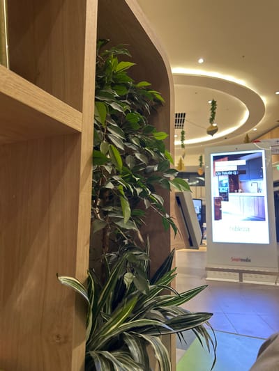 A wooden planter box displays two types of plants. One, a leafy green with small, pointed leaves, fills the left side. To the right, a plant with elongated, striped leaves arcs outward. Behind the box, a digital screen displays images under the "Smartmedia" brand, positioned in a brightly lit area. The curved ceiling and hanging decorations suggest the setting is likely within a mall or public space.