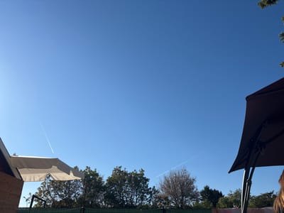 The image shows a clear blue sky over what appears to be an outdoor seating area. Visible in the foreground are parts of two umbrellas: one white, one dark brown. Beneath the umbrellas are trees and a fence. Two jet contrails are visible in the sky. The location is suggested to be in the city of Wiener Neustadt, Austria. There are no people explicitly visible, though the presence of patio furniture suggests human occupation.