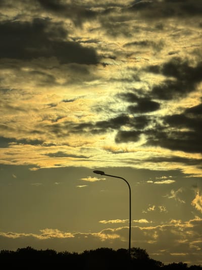 In the city of Kopaniny, Poland, a streetlamp with a curved arm stands in silhouette against a dramatic sky. The sky is filled with a mixture of dark, ominous clouds and lighter, golden-yellow clouds that suggest the setting sun is filtering through. The lower portion of the image is dominated by a dark silhouette of trees and possibly a low-lying landscape, further emphasizing the stark contrast with the illuminated sky. No people or specific actions are visible. The environment appears to be an outdoor setting, likely a roadside or park area, given the presence of the streetlamp.