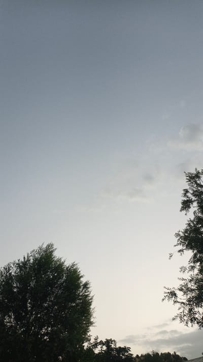 This is a low-angle, vertical, full-shot photograph taken in Pistamozor, Tajikistan, focusing on the sky and treetops during what appears to be twilight. The sky is a gradient of pale blue and white, with some thin, wispy clouds visible. Two large trees frame the bottom left and right portions of the image, their dark green foliage silhouetted against the lighter sky. The tree on the left is fuller and more rounded, while the tree on the right has a more delicate, branching structure. Below the main trees, a line of darker tree tops and possibly distant buildings can be seen along the horizon. The overall impression is one of a serene, natural scene at the edge of day.