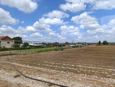 A wide, horizontal shot captures an agricultural field under a bright blue sky dotted with fluffy white clouds. The field in the foreground is covered in rows of dry, brown vegetation, likely a harvested crop or fallow land, with patches of sandy soil visible between the rows. A black hose snakes across the ground in the lower left corner, partially obscured by the sandy soil.

In the middle ground, a fence separates the field from a collection of agricultural buildings. These structures include a white building with a red-tiled roof on the left, and several other low-lying buildings with metal roofs further back, some appearing to be greenhouses or storage facilities. An overhead irrigation system with large wheels is visible in the center of the mid-ground. Trees and other vegetation dot the landscape behind the buildings.

The background shows a distant horizon with more greenery and trees, suggesting a rural or semi-rural environment. The overall impression is one of agricultural activity under a clear, sunny day. The scene appears to be in Salvaterra de Magos, Portugal, given the context of the request.