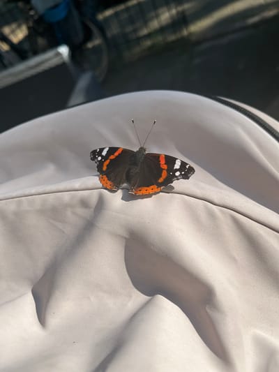 This is a close-up, high-angle shot of a Red Admiral butterfly resting on a light-colored, textured fabric. The butterfly is positioned on the right side of the frame, with its wings partially open, revealing intricate patterns of black, orange, and white. Its antennae are visible, extending outwards. The fabric appears to be a part of clothing or an outdoor furnishing, with visible folds and creases that create shadows and highlights, suggesting it is outdoors under natural light. The background is dark and out of focus, with some blurred shapes that might indicate other objects or an environment. The overall lighting suggests it is daytime, likely with bright sunlight, given the strong shadows. The image appears to have been taken in Nijmegen, Netherlands. No people are visible, and there is no visible text in the image. The focus is solely on the butterfly and its immediate surroundings.