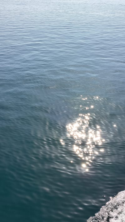 The image depicts a vast expanse of calm, blue water, reflecting the bright sunlight. The water surface is smooth with gentle ripples, creating a shimmering effect where the light hits. In the lower right corner, a white foamy wake trails, suggesting the presence of a moving object, possibly a boat, that is just out of frame. The scene is serene and natural, with no visible man-made structures or people. The location is identified as an unspecified area in France, known for its aquatic environments.