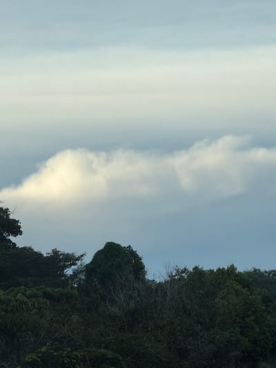 A serene landscape photograph captures a broad view of a lush, green hillside densely covered with trees under a pale blue sky with soft, white clouds. The foreground is dominated by the dark, textured canopy of the trees, with some branches and foliage more clearly defined. A prominent, lighter-colored cloud formation stretches horizontally across the middle ground, its edges softened by the atmospheric light. The sky transitions from a lighter hue at the horizon to a deeper blue towards the top. The scene evokes a sense of tranquility and natural beauty. No specific landmarks indicating the location in Subang Jaya City Council, Malaysia, are visible in this image.