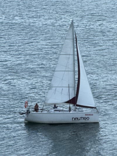 This media file shows a sailboat on a body of water, likely a lake given the location context of Mikołajki, Poland. The sailboat has a white sail with a dark red trim along the leading edge. The hull of the sailboat is also white and appears to have some text printed vertically on its side. The text reads "MANGO" at the top and "NAUTIGO BALTUS HOUSE" below it. The water is choppy, with many small ripples, suggesting a breezy day. The lighting indicates it is daytime, likely with overcast skies or indirect sunlight, as there are no strong shadows visible. A few people are visible on the sailboat, but they are not distinct enough to identify details. The scene depicts a sailing activity, likely recreational. The overall impression is one of a serene, albeit active, day on the water.