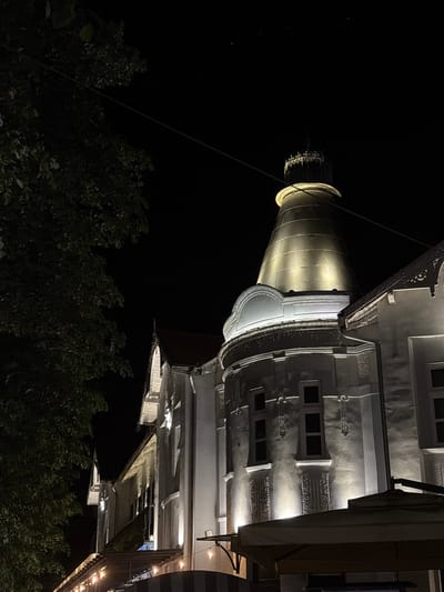 At night, a low-angle shot captures the illuminated architectural details of the baroque style church, located in Vrnjacka Banja Municipality, Serbia. The building's cylindrical tower is brightly lit. Below, tree foliage contrasts with the dark sky. Architectural features are visible on the illuminated facade, including windows and decorative elements.
