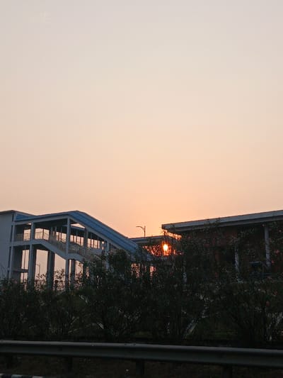 The scene depicts an urban or semi-urban environment in Sreenagar, Bangladesh, at either sunrise or sunset. The sky presents a gradient of light orange and peach tones, with the sun's bright orange disk visible low on the horizon, partially obscured by the architecture. A prominent pedestrian overpass, constructed from light-colored concrete or painted metal with a distinct blue sloped roof, occupies the left and central midground. To the right, a multi-story building with a dark facade and a flat roofline is partially visible, with the sun's glare emanating from between this building and an adjacent structure. A street light pole is situated between the overpass and the building. In the immediate foreground, a metallic guardrail spans horizontally, positioned directly in front of a dense line of dark green foliage containing faint pink floral accents. No individuals or vehicles are present within the frame.