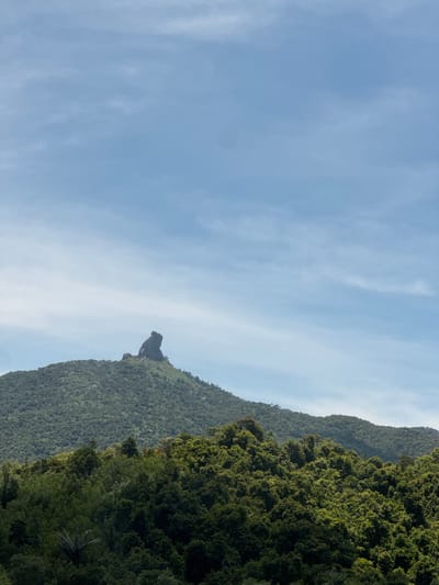 A vertical, wide-angle shot captures a lush, green mountain range against a pale blue sky with wispy clouds. The sun appears to be high in the sky, casting a bright light that illuminates the scene. The mountain is densely covered in trees, with darker green foliage indicating a thick forest. In the middle ground, a distinctive rock formation juts out from the mountainside, resembling a bird or a human profile with a beak-like protrusion. The overall mood is serene and majestic, highlighting the natural beauty of the landscape. The scene is likely in a tropical or subtropical region due to the dense vegetation. No people, objects, or text are visible in the image.