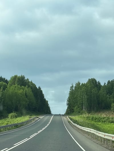 The image shows a two-lane asphalt road with white lane markings, curving uphill and disappearing over a crest. The road is bordered by a metal guardrail on the right and a grassy shoulder on the left. Dense green trees line both sides of the road, creating a tunnel-like effect. The sky is overcast with grey clouds. The image appears to be taken from a moving vehicle, as suggested by the perspective and slight motion blur. The setting is a rural or semi-rural area, possibly a highway or main road leading out of a town or city. There are no visible people or buildings in the immediate vicinity.