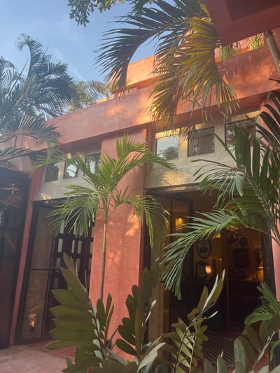 An upward shot of a building's exterior with tropical foliage. The building features reddish-orange walls and a concrete section with windows reflecting the sky. Palm fronds and other leafy plants frame the structure, partially obscuring it. The sky is visible in patches, appearing clear and blue. The indoor area is decorated with a fan and pictures on the wall.