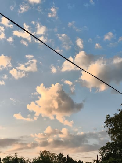 The image shows a sky with clouds, a telephone wire, and trees. The sky is blue with scattered white and pinkish clouds, suggesting it might be near sunset or sunrise. A thin black telephone wire stretches diagonally across the upper portion of the image, from the top left to the middle right. The lower part of the image features a line of dark green trees, some with visible leaves and branches. In the far right, a portion of a large tree with dark green leaves is visible. There are no people or animals in the frame. The scene appears to be an outdoor environment, likely in a semi-urban or rural setting, given the presence of telephone wires and trees. The location is identified as Ocnița, Moldova.