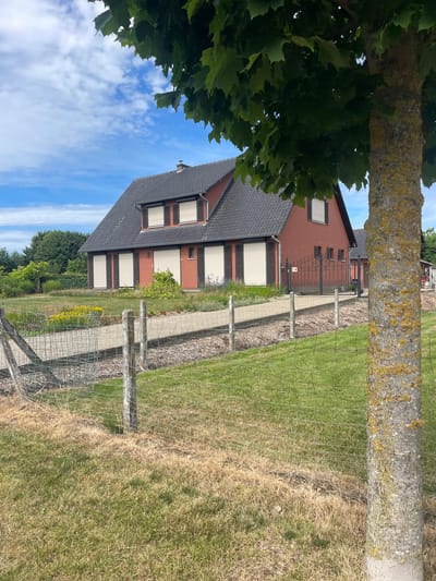 The image depicts a red brick house with a dark tiled roof, partially obscured by the branches and trunk of a large tree in the foreground. The house has several windows covered by beige roller shutters and dark wooden shutters. A metal fence with a gate is visible leading to the house. The surroundings include a pathway, a garden with yellow flowers, and a lawn. The scene appears to be set in a suburban or rural area. The sky is blue with scattered clouds, suggesting daytime. The location is the city of Diepenbeek, Belgium.