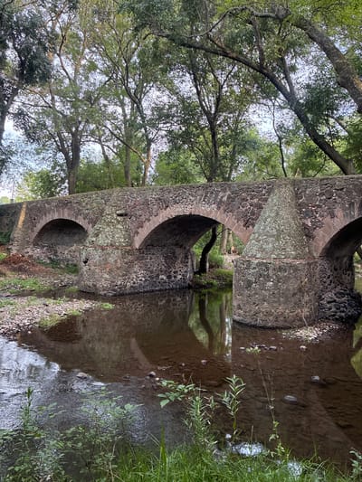 The image captures a historic stone aqueduct, part of the architectural heritage of Santiago Tlautla, Mexico, spanning a shallow stream. The aqueduct exhibits at least three visible archways constructed from dark, roughly hewn stones, possibly volcanic rock, with some segments showing signs of age and possible biological growth like moss or lichen. The stream flows beneath the aqueduct, its water clear enough to reflect the structure, though the reflection is somewhat distorted by the water's surface. The banks of the stream are lined with vegetation, including grasses and leafy plants. Mature trees with dense foliage surround the aqueduct, casting dappled light across the scene. The sky is partially visible through the branches, suggesting a partly cloudy or bright day. The photograph's perspective is low, emphasizing the height and scale of the aqueduct relative to the viewer.