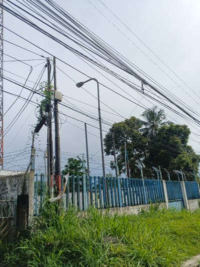 The image depicts an outdoor scene characterized by a dense network of overhead utility lines, likely electrical and communication wires, crisscrossing against a bright, overcast sky. Several dark utility poles stand prominently, supporting these numerous cables. On one pole towards the left, a white rectangular utility box is attached, and green climbing plants are growing vigorously around the pole and wires, indicating lush vegetation. Adjacent to this, a street light with a dark gray fixture extends horizontally. Another similar streetlight is visible further to the right.
In the midground, a sturdy blue metal fence with pointed vertical bars and barbed wire along its top edge forms a barrier, suggesting a secured area or property. This fence is set upon a concrete base. Behind the fence, various green trees are visible, including a tall palm tree on the right side. On the far left, a section of a metal lattice communication tower can be observed, extending upwards beyond the frame. The foreground is dominated by a thick expanse of tall, wild green grass and weeds.
The scene conveys a sense of dense urban or semi-urban infrastructure in a tropical environment, consistent with locations like Carcar, Philippines. The time of day is daytime, under what appears to be an overcast or hazy sky, providing soft, diffused light. There are no people visible, and no discernible text can be read within the frame. The overgrown vegetation around the utility pole and in the foreground suggests either a neglected area or the persistent encroachment of nature on man-made structures.