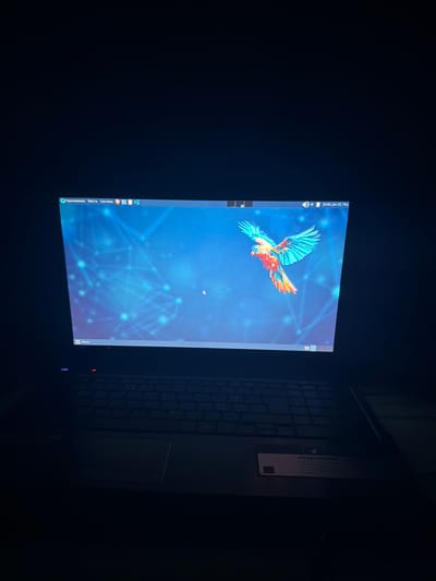 The image shows a close-up view of a laptop screen displaying a colorful, abstract wallpaper of a bird in flight against a blue, geometric background. The laptop itself is dark and partially visible on the right side of the frame, with its keyboard illuminated by the screen's glow.
On the left side of the screen, a vertical taskbar is visible, displaying icons and text. The text appears to be in Russian and includes "Приложения" (Applications), "Места" (Places), and "Система" (System). At the very top left of the screen, a clock and date are visible: "16:00, Jan 25, Thu".
On the right side of the laptop, a white sticker with some text and a logo is attached to the lid. The visible text on the sticker includes "ASPIRE" in large letters.
The scene is dimly lit, suggesting it might be nighttime or an indoor setting with low ambient light. The overall impression is of a computer being used in a focused, perhaps work-related or personal, context. The location context of Dalgopol, Bulgaria, does not provide any specific visual cues within the image itself.