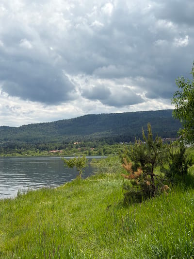 This image depicts a natural landscape in Tsigov chark, Bulgaria, under an overcast sky. The upper third of the frame is dominated by a dense formation of grey and white clouds, with numerous small, bright particulate specks, possibly pollen or insects, visible against the dark sky. A large body of water, likely a lake or reservoir, occupies the middle-ground, displaying gentle ripples on its calm, reflective surface.
Across the water, a densely forested mountain range forms the background, appearing dark green and undulating. Several buildings with distinct red roofs are sparsely distributed among the trees on the lower slopes of the distant mountains, indicating a human settlement.
The foreground is characterized by lush, tall green grass, interspersed with small, light-colored wildflowers. On the right side of the foreground, two young evergreen trees, likely pines, are prominent, exhibiting both healthy green needles and patches of dried brown foliage. A smaller, deciduous tree with light green leaves stands closer to the water's edge in the mid-left foreground. The upper right corner reveals the partial foliage of another deciduous tree, casting a slight shadow on the surrounding grass. No people or animals are visible in the scene.