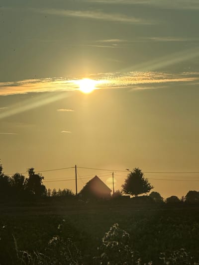 The image depicts a serene sunset over a rural landscape in Bolleville, France. The sun, a bright orb casting long rays, is positioned in the upper center of the frame, partially obscured by thin, elongated clouds. Below the sun, silhouetted against the warm, golden sky, is a small cluster of structures including a gabled building, likely a house or barn, and several trees. A utility pole with power lines runs horizontally across the mid-ground, connecting the structures. The foreground is dominated by a dark silhouette of a field, possibly agricultural, with some flowering plants visible. Several birds are scattered across the sky, adding a dynamic element to the tranquil scene. The overall atmosphere is peaceful and idyllic, characteristic of a French countryside sunset.
