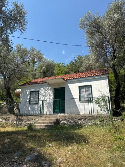 The image shows a white, two-story house with a red tile roof, nestled amongst trees and overgrown vegetation. The house has green shutters on its windows and a green door. A metal fence surrounds the lower part of the house. Concrete steps lead up to the house. The scene is set outdoors during the day, with a clear blue sky. The sun is casting shadows on the house, suggesting it is likely mid-morning or early afternoon. The surrounding landscape appears to be rural, with a mix of deciduous and possibly olive trees. The vegetation is dense and somewhat wild, with tall grasses and smaller flowering plants. A power line runs diagonally across the frame. There is a small, red kite visible in the sky. The overall impression is one of a somewhat rustic and secluded dwelling in a natural setting.