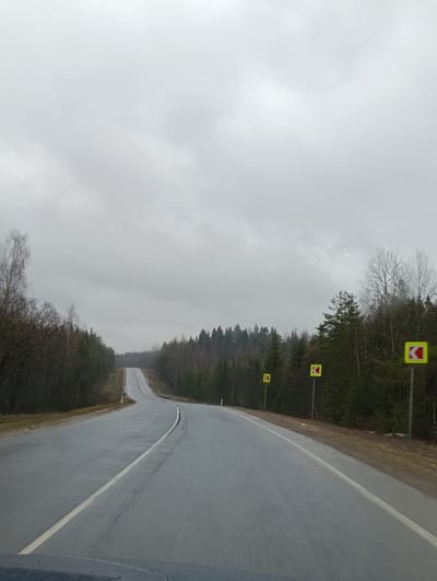 The image depicts a wet asphalt road stretching into the distance under a cloudy sky. The road curves slightly and ascends a small hill. It is flanked by trees on both sides, with numerous yellow road signs featuring a turning arrow placed along the right side of the road. The foreground shows the hood of a vehicle, suggesting the picture was taken from inside a car. The general environment suggests a forested or rural area. There is no definitive information to locate the road specifically in the city of Lesnoi, Russia, but a visual analysis can be performed. The landscape appears typical for a Russian rural road during a cloudy day.