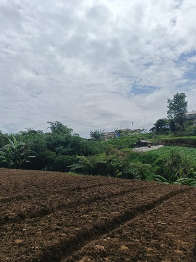 This image depicts a rural or semi-rural landscape in Bình Hải, Vietnam. The foreground features a large expanse of dark brown, freshly tilled soil, appearing to be an agricultural field. Several distinct, parallel furrows are visible, extending from the lower right of the frame towards the center. The midground consists of dense, lush green vegetation, including discernible banana trees on the left. Further back, on a lower slope, a small, weathered structure with a dark roof and lighter walls is visible, adjacent to several elongated, white plastic-covered structures, likely greenhouses or crop covers. Beyond these, a patch of vibrant green crops is present. The background reveals multiple residential buildings with light-colored walls and dark roofs, situated on a distant, higher elevation and partially obscured by trees. Several tall, slender poles marked with alternating red and white stripes stand near these structures. The sky is largely overcast with grey and white clouds, though a patch of lighter blue sky is visible in the upper right quadrant. No people are visible.