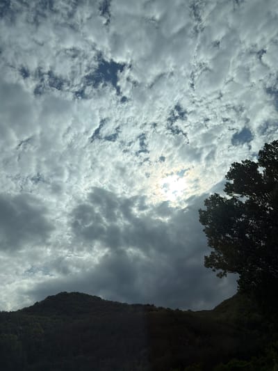 The image is a low-angle shot of a cloudy sky, with a section of dense trees and a dark, steep mountain slope partially visible in the upper right. The sun is shining through a gap in the clouds, creating a bright spot. The sky has a mix of white and grey clouds, suggesting an overcast day with occasional sun. The photograph was taken somewhere in Jeleznitsa, Bulgaria.