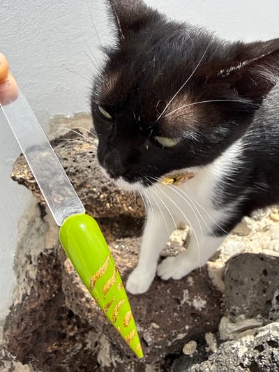 A high-angle, eye-level shot reveals a black and white cat gazing at a vibrant, neon-green artificial nail with a gold leaf design. The cat, located on the left side of the frame, has green eyes and prominent white whiskers. The nail is being held in front of the cat by a person’s fingers that are visible at the base of the nail display. The foreground includes a light grey, uneven wall, while the background features a brown, rock-like surface. The setting suggests an indoor environment in Yaiza, Spain.