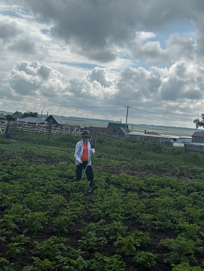 In Aumyshevo, Russia, on a cloudy day, a person is pictured working in a field of green crops, likely potatoes, with a hoe in hand. They are wearing an orange shirt, a white long-sleeved shirt, dark pants, gloves, and a hat. In the background, a rustic wooden fence encloses scattered buildings and trees, with a distant body of water visible under a dramatic sky filled with heavy, grey clouds. The overall scene suggests agricultural activity in a rural setting.