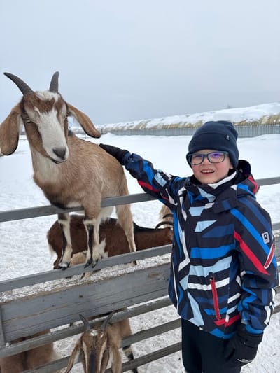 In Zaosinovo, Russia, a young male child stands outdoors in a snowy environment. He is wearing a dark blue knit beanie, green-framed glasses, a multi-colored winter jacket with geometric patterns (blue, black, white, red), black gloves, and black pants. The child is positioned to the right of a grey metal fence, smiling towards the viewer, with his gloved left hand resting on the back of a goat.
A light brown goat with a white face, brown markings, long floppy ears, and dark horns is the primary animal subject. It stands with its front hooves on the top rail of the metal fence, facing slightly towards the left of the frame and looking towards the viewer. Behind and below this goat, at least two other goats are partially visible behind the fence; one is brown and white, and another brown goat with horns is seen at the bottom of the frame. The ground is covered in snow. In the background, beyond the snowy field and fence line, low-lying structures with snow-covered roofs are visible under an overcast sky.