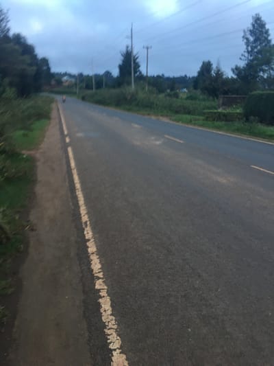 The scene depicts a road in Limuru, Kenya, under an overcast sky, indicating low light conditions. The asphalt road extends into the distance, marked by a broken white line bordering the left edge of the visible carriageway and a fainter solid yellow line on the right side of the lane. A dirt shoulder, partially covered with sparse green vegetation, parallels the road on the left. In the distant center of the image, approximately 100-150 meters away, a solitary individual on a reddish-orange two-wheeled vehicle, consistent with a bicycle or motorcycle, is observed moving away from the viewer in the left lane. Dense green vegetation, including numerous tall trees and bushes, lines both sides of the road. Multiple utility poles with overhead power lines are visible along the right side of the road, extending into the background. On the mid-ground right, a low stone wall or foundation and a trimmed green hedge are present, demarcating a property line. Faint structures are visible through the trees in the far background.