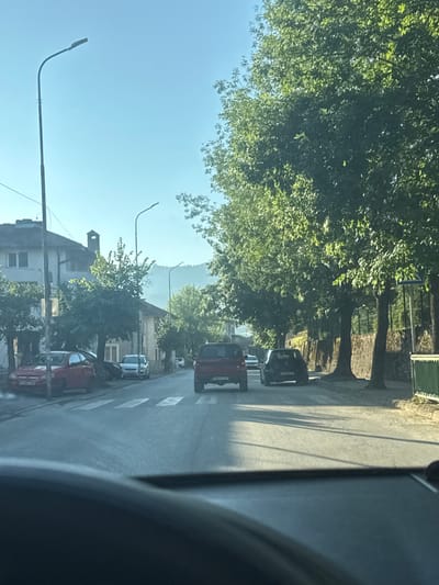 The image shows a street scene in the city of Smilyan, Bulgaria. It is a sunny day, and the sky is clear blue. The street is paved and has a pedestrian crossing. Several cars are parked on the side of the road and in motion. Large trees with green foliage line the right side of the street, casting shadows on the road. Buildings are visible on the left side of the street, with houses and some smaller trees. A street lamp is visible on the left side of the image. In the background, hills are visible, shrouded in a light haze. The perspective suggests the photo was taken from inside a vehicle, looking forward.