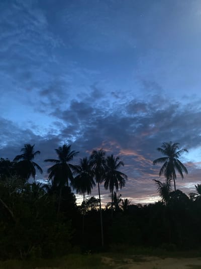 The image depicts a twilight or dawn scene in Seuneubok Teungoh, Indonesia. Silhouetted palm trees are visible against a sky with predominantly blue and gray clouds, interspersed with traces of orange and yellow light near the horizon. The foreground shows dark vegetation and an unpaved surface. No people or specific actions are observable. The overall environment suggests a tropical location during a transition between day and night.