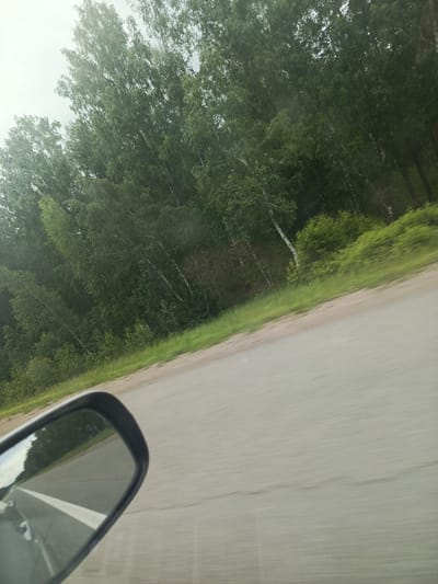 The image shows a view from a car traveling on a road in Meget, Russia. The foreground features a side-view mirror reflecting the road and trees. The road is paved and has a white line marking the lane. On the right side of the road, there is a dense forest with green trees and some lighter-colored trunks, likely birch trees. The sky is overcast, and the overall impression is of a cloudy day in a rural or suburban area.