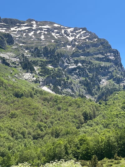 The image depicts a mountainous landscape under a clear, cloudless blue sky. The upper section of the scene is dominated by a large, steep rock formation with exposed grey stone and numerous irregular patches of white snow. Below the snow-covered peaks, the mountain slopes transition into a mix of rocky terrain and sparse green vegetation, including small trees and grass growing in crevices and on ledges. Further down the slope, a dense, vibrant green forest covers the majority of the mid and lower sections of the image. This forest primarily consists of deciduous trees with lush foliage, suggesting late spring or early summer. In the bottom foreground, a lighter green ground cover is visible, punctuated by clusters of small white flowers. No people, animals, or man-made structures are discernible within the frame. The scene is located in the city of Unknown, Montenegro.
