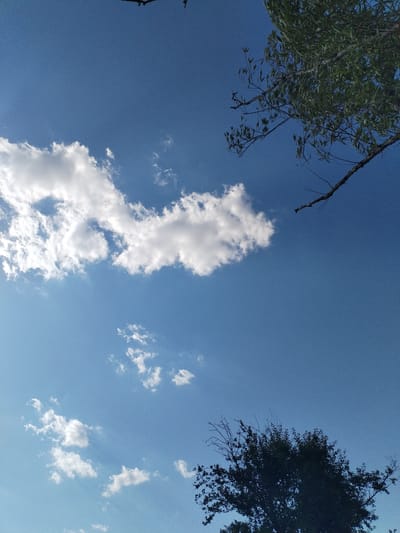 A low-angle, full shot captures a bright blue sky filled with scattered white clouds. In the upper right corner, branches and green leaves from a tree extend into the frame. The bottom right corner features the silhouette of a dark tree with dense foliage. The scene appears to be outdoors in Bilousivka, Ukraine.