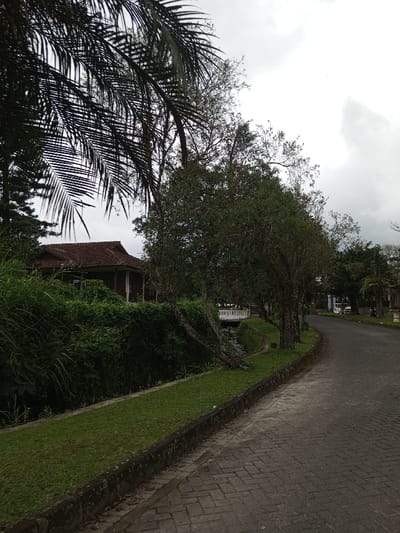 A paved brick road curves along a verdant landscape. Lush green grass lines the roadside, bordering a small stream with a white bridge. Trees with dense foliage grow alongside the road. A glimpse of a brown-roofed house is visible through the thick greenery. Cloudy sky creates an overcast atmosphere. A large palm frond dominates the left side of the frame.