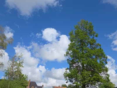 The image shows a daytime scene in Eeklo, Belgium. The sky is predominantly blue with scattered cumulus clouds. The upper right of the frame is dominated by a large green tree. To the left, another tree with sparse foliage is visible, partially obscuring rooftops. The rooftops suggest residential buildings. No people are visible in the image.