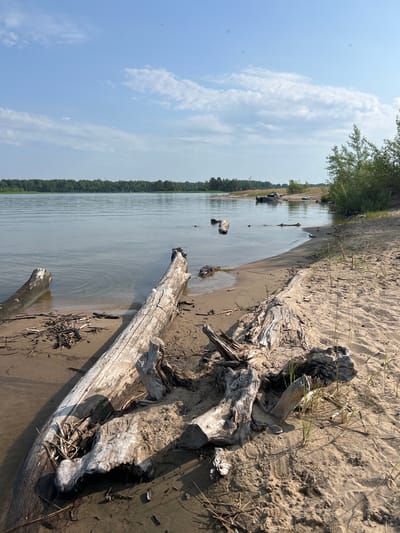 The image shows a sandy shore with several large pieces of driftwood. The water is calm and reflects the blue sky with scattered white clouds. A line of green trees forms the horizon across the water. The foreground is dominated by the weathered, bleached wood of the driftwood, some of which is partially submerged in the water. The sand is light brown and textured with small debris. In the distance, a few boats are visible on the water. The scene appears to be a natural landscape, likely a lake or riverbank.