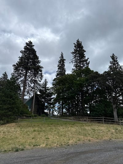 The image shows a rural landscape with a house and trees. The house is green with a stone chimney and is partially visible behind tall evergreen trees. A wooden fence runs across the middle of the image, separating a dry, grassy field from a wooded area. The sky is overcast with gray clouds. The scene appears to be located in a semi-arid region.