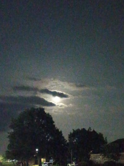 The image depicts a nighttime scene in Nicholasville, USA, where a full moon is partially obscured by clouds. The moon, a bright white orb, is visible in the upper right quadrant of the frame, with wispy, darker clouds drifting across its surface. In the foreground, silhouetted trees dominate the lower half of the image. The trees are dark and dense, with their branches creating an irregular, organic shape against the night sky.
To the left of the larger tree on the left, a single street light is illuminated, casting a faint glow. Further to the right, in front of another tree, a white car is parked. Behind the trees, a building with illuminated windows is partially visible, suggesting the presence of human activity. The overall atmosphere is quiet and serene, with the moonlight providing the primary source of illumination. The image has a grainy texture, which is characteristic of nighttime photography with low light conditions.