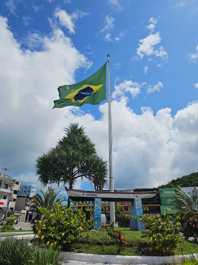 The image displays an outdoor scene in Arraial do Cabo, Brazil, under a clear blue sky with scattered white cumulus clouds. A prominent Brazilian flag, green with a yellow rhombus and blue celestial sphere, waves from a tall white flagpole positioned centrally in the upper half of the frame.
In the foreground, a landscaped island or planter is present, featuring green grass, dense bushes with yellow and red flowers, and a large, multi-stemmed plant with long, spiky green leaves. Mounted within this planter is a decorative, white, inverted boat structure, marked with the name "ANTONINA" on its stern. This boat rests on two short, painted pillars adorned with blue and white, sea-themed murals.
The background on the left reveals an urban streetscape with several multi-story buildings, some appearing residential and others featuring commercial storefronts, including one labeled "ARMOONE." Utility poles and overhead wires are visible. On the right side of the background, a steep, verdant hillside covered in dense green foliage rises, partially obscured by a large green commercial billboard displaying text such as "Heliar" and "LIDER."
The scene is brightly illuminated by daylight, and no individuals or explicit actions are discernible.