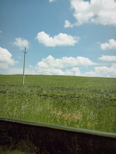 The image depicts a vast, green, grassy field under a partly cloudy blue sky. A solitary utility pole stands prominently in the middle-left portion of the frame, with power lines stretching horizontally across the sky. The foreground is dominated by a dark, blurry object that appears to be the edge of a vehicle or railing, casting a shadow over the lower part of the scene. Scattered throughout the grass are hints of small blue flowers, suggesting a natural, rural setting. The overall impression is one of open space and a natural landscape, possibly along a rural road or highway. There are no people visible in the image. The location is identified as Aleksandrovka, Kazakhstan.