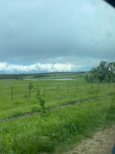 The image shows a view of a field in Петрово, Russia on a cloudy day. A body of water, likely a river or large stream, is visible in the middle distance, running roughly parallel to a line of trees and a fence with brown posts. The field is largely covered in green vegetation. There are clouds overhead and some obstruction in the upper left corner of the image, possibly from a window.