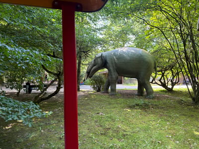 The image, taken in Tolk, Germany, shows a gray, life-sized elephant sculpture placed in a grassy, wooded area. The sculpture is positioned on its side, as if it has fallen. In the foreground, a red pole and a yellow-painted metal structure are visible, suggesting the image might have been taken from a train or other form of transportation. The background is filled with lush green trees and foliage, indicating a sunny day and possibly springtime or summer. Sunlight filters through the leaves, creating dappled shadows on the ground. A white picket fence and some wooden structures are partially visible behind the elephant sculpture, hinting at a park or zoo setting. No people are clearly visible in the image. The overall scene depicts a whimsical or perhaps slightly melancholic artistic installation within a natural environment. The elephant's pose is unusual and draws attention.
