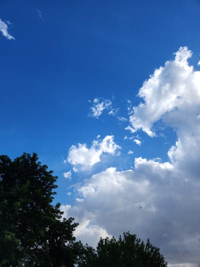 This media file captures a low-angle view of a bright blue sky filled with scattered white and grey clouds. The clouds vary in density, with some appearing fluffy and illuminated by sunlight, while others are thicker and more shadowed. A portion of a dark green tree canopy is visible in the lower right and upper right corners of the frame, suggesting an outdoor setting with foliage. The overall impression is of a pleasant, partly cloudy day, likely during daylight hours given the brightness of the sky. There are no people or discernible objects other than the sky, clouds, and tree. No text is visible in the image. The scene is tranquil and natural.
