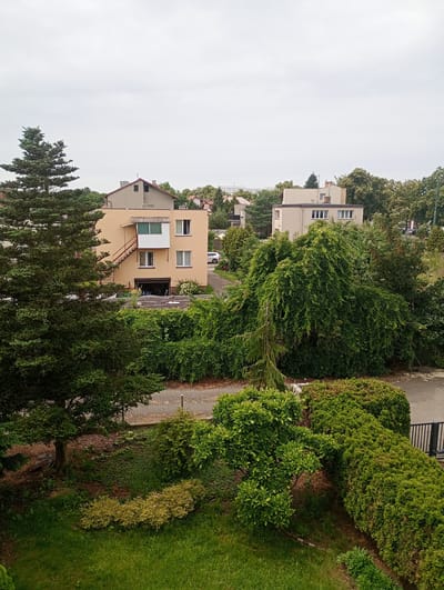 This is a medium-angle, high-definition, outdoor, daylight photograph taken from an elevated perspective looking down onto a residential area in Kołobrzeg, Poland. The scene is dominated by lush green foliage, including a prominent evergreen tree in the left foreground, a large, dense weeping willow-like tree in the mid-ground, and various manicured hedges and bushes. Two beige apartment buildings are visible behind the trees. The building on the left has a light brown roof, a red staircase leading to a second-floor balcony, and several windows. The building to its right is lighter in color and also features multiple windows and a chimney. A paved pathway or road is visible in the mid-ground, curving towards the right. In the far background, other residential buildings and trees suggest a suburban setting. The sky is overcast and appears gray. The ground level in the lower portion of the image features a well-maintained green lawn with some smaller decorative bushes. There are no people or animals visible in the frame. The overall impression is one of a quiet, verdant residential neighborhood on a cloudy day.