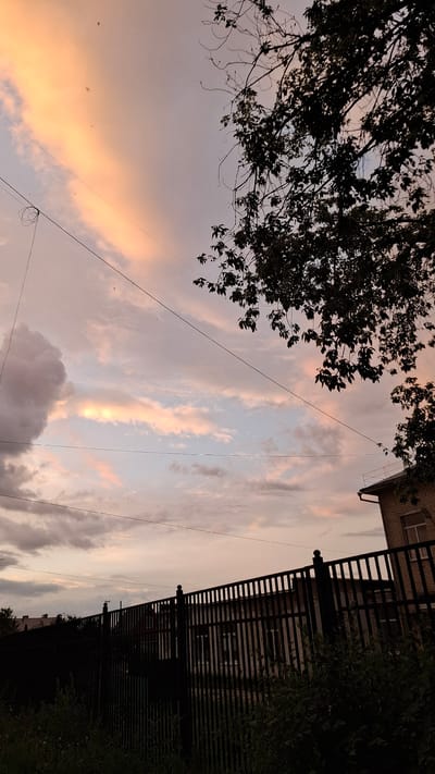 A wide-angle, vertical photograph depicts a twilight sky with scattered clouds, some illuminated with soft orange and pink hues, over a residential area. In the foreground, a dark, metallic fence with vertical bars runs horizontally across the frame. Beyond the fence, buildings are visible, including a brick structure with a white-trimmed window. Silhouetted tree branches with leaves extend from the upper right corner into the sky, with thin wires crisscrossing the upper half of the image. The overall scene is peaceful and serene, capturing the transition from day to night. The location is identified as Rassvet, Russia. There are no people or animals visible in the frame.